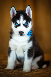 Similar image 10958542