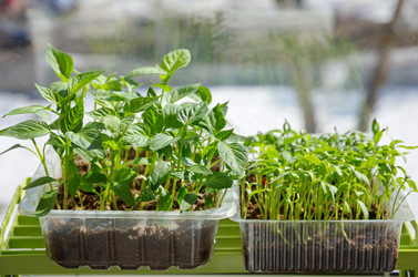 Similar image 10958889