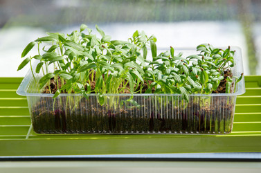 Similar image 10958890