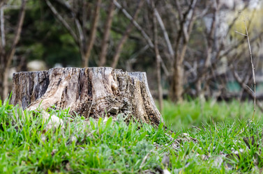 Similar image 10958950