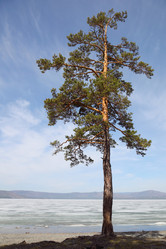 Similar image 11326421