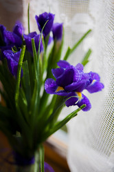 Similar image 11283327