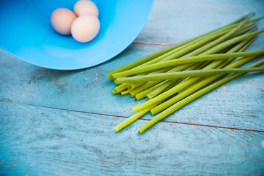 Similar image 11283590