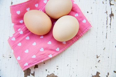 Similar image 11283593