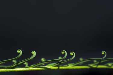 Similar image 10970563