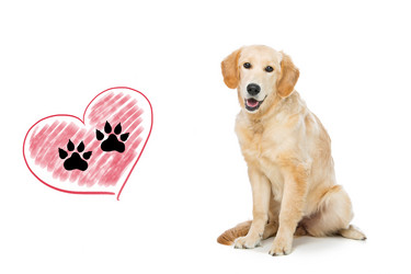 Similar image 11287349