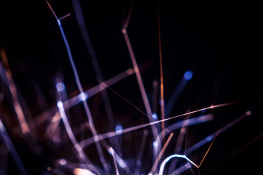 Similar image 11169529