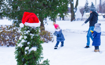 Similar image 10962728