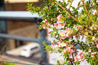 Similar image 10961681