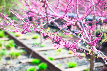 Similar image 10961859