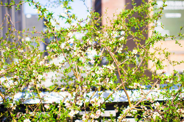 Similar image 10961898