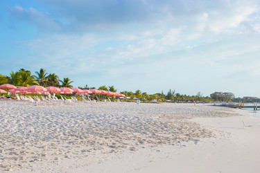 Similar image 10963947