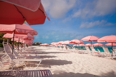 Similar image 10973827