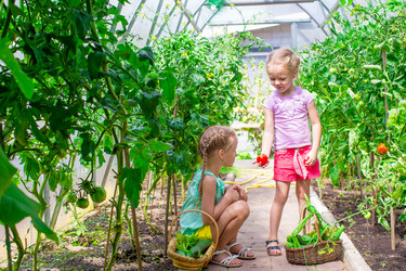 Similar image 10964898