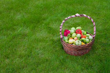 Similar image 10973754