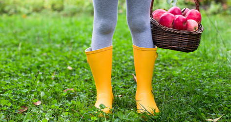 Similar image 10964117