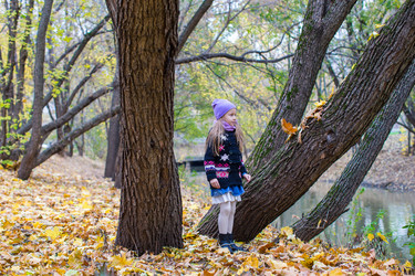 Similar image 10963759