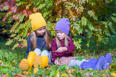 Similar image 10963410