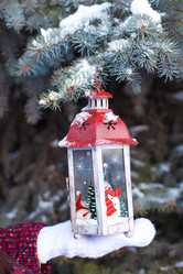 Similar image 10964544