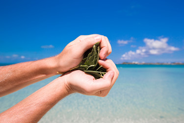 Similar image 10964603