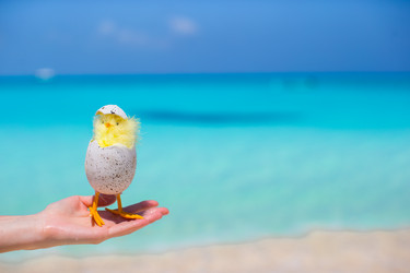 Similar image 10977378