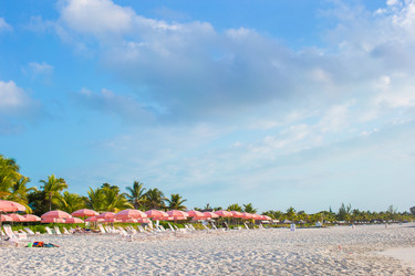 Similar image 10972753