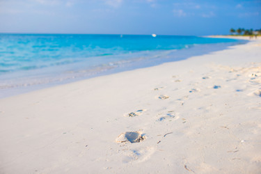 Similar image 10973861