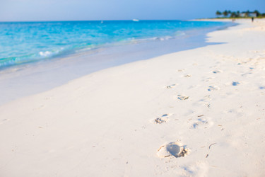 Similar image 10988387