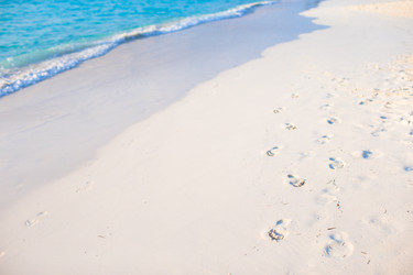 Similar image 10991828