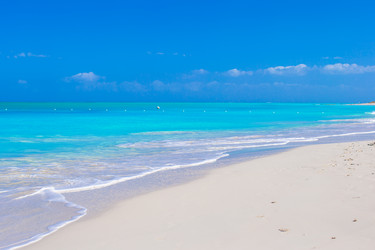 Similar image 10991829