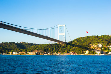 Similar image 10989892