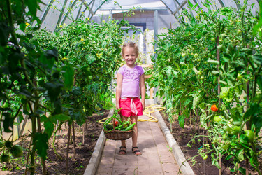 Similar image 10970469