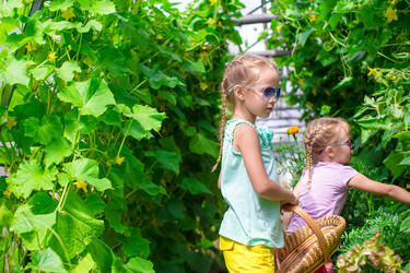 Similar image 10965216