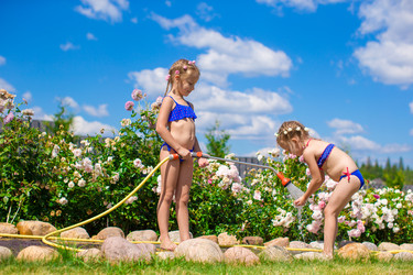 Similar image 10992010