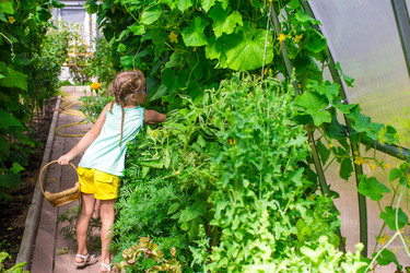 Similar image 10988653