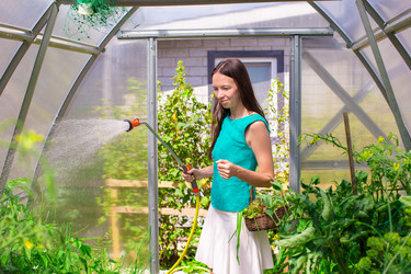 Similar image 10962974