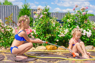 Similar image 10988811