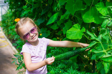 Similar image 10988813