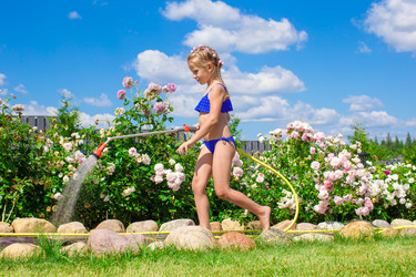 Similar image 10964162