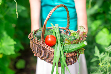 Similar image 10963293