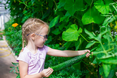 Similar image 10988905