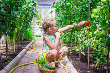 Similar image 10988907