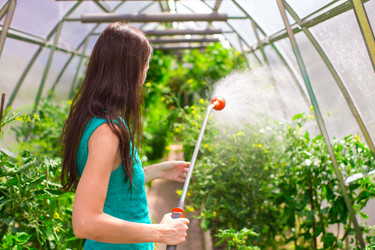 Similar image 10963415