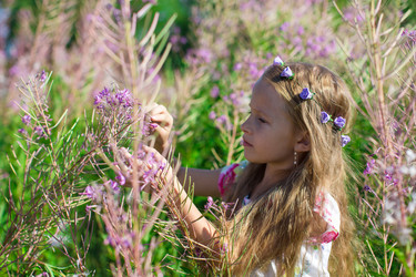 Similar image 10964202