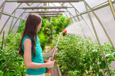 Similar image 10963436