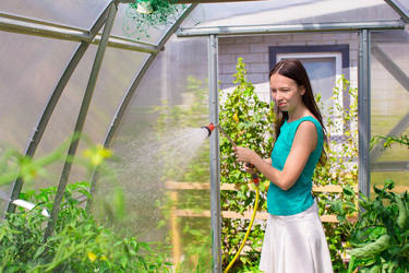 Similar image 10964746