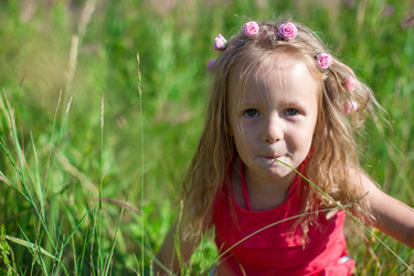 Similar image 10964242