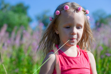 Similar image 10964256