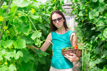 Similar image 10964826