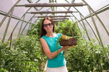 Similar image 10964828